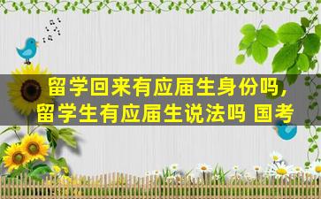 留学回来有应届生身份吗,留学生有应届生说法吗 国考